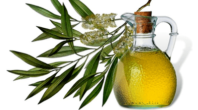 Folk remedies for the treatment of fungus on the thumb of the leg